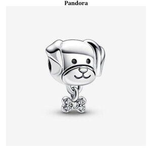 Pandora charms